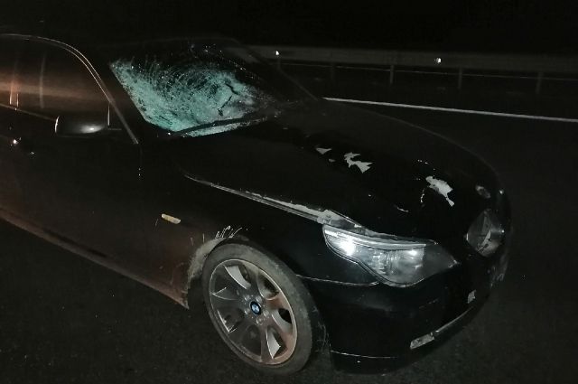 Молодая женщина погибла под колесами автомобиля BMW в Пензе