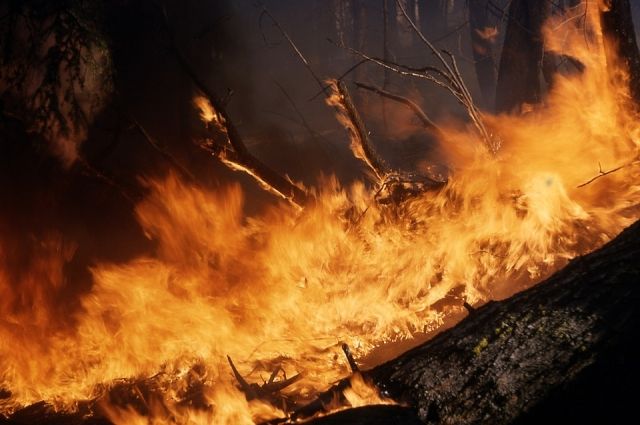 МЧС: в поселке Кушкуль сгорело 10 гектаров сухой травы