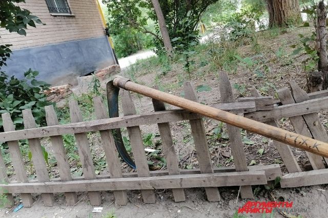 В Сорочинске правоохранители уничтожили несколько очагов дикой конопли.