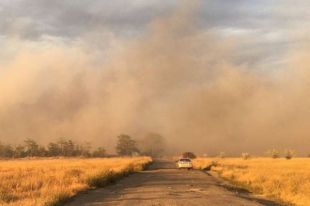 В Донецкой области произошел пожар на мусорном полигоне