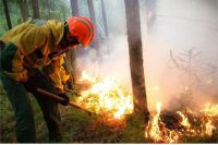 В этом сезоне лесные пожарные многое изменили в работе.
