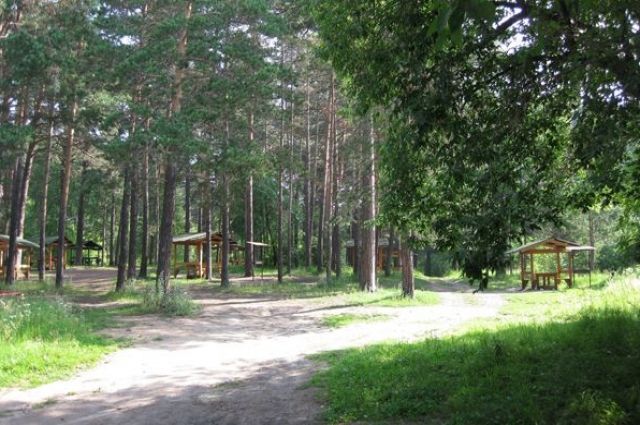 Благоустройство Заельцовского парка в Новосибирске начнут в 2021 году