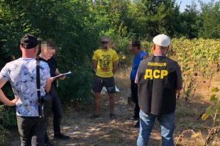 Запорожские полицейские обнаружили посевы конопли стоимостью 10 млн грн