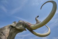 В Тюменском районе установили большую скульптуру мамонта