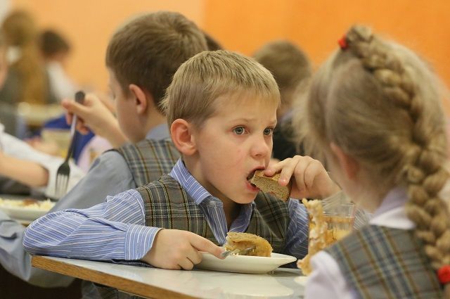 Проводится горячая линия по вопросу организации питания в тюменских школах