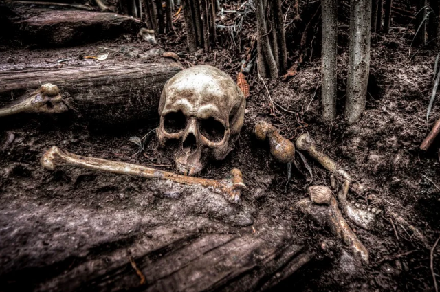 В Барышком районе грибник нашёл человеческие останки
