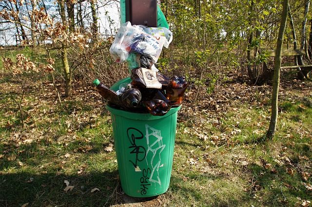 В двух районах Волгограда введут раздельный сбор мусора