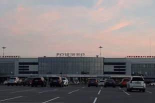 В Тюмени ликвидируют свалки возле Рощино, привлекающие стаи птиц