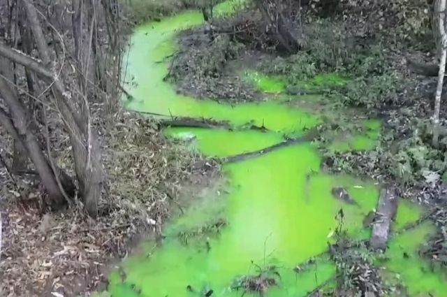 «Зеленым» ручей в мкр Топкинском оказался из-за экологичного красителя