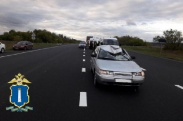 На трассе под Ульяновском легковушка насмерть сбила дорожного рабочего