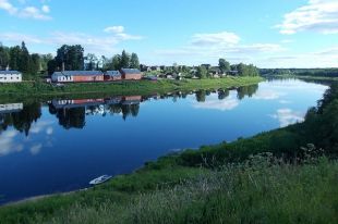 Труп женщины нашли в тихой и спокойной реке Сясь.