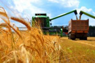 В Украине изменят ставки НДС по поставке сельскохозяйственных продуктов