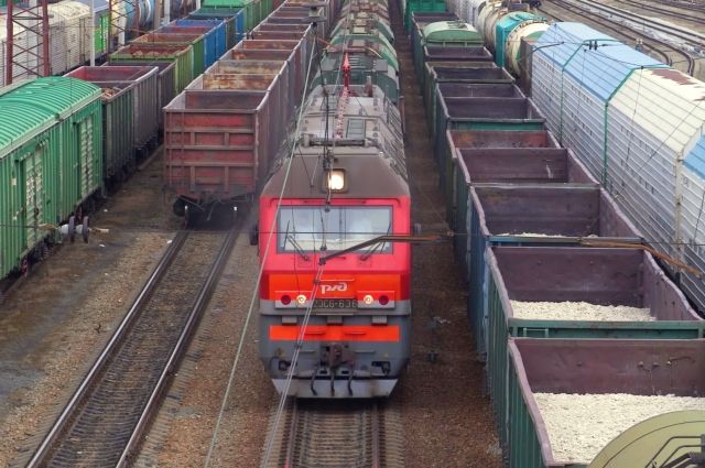 В Петербурге под поезд упал 16-летний мигрант
