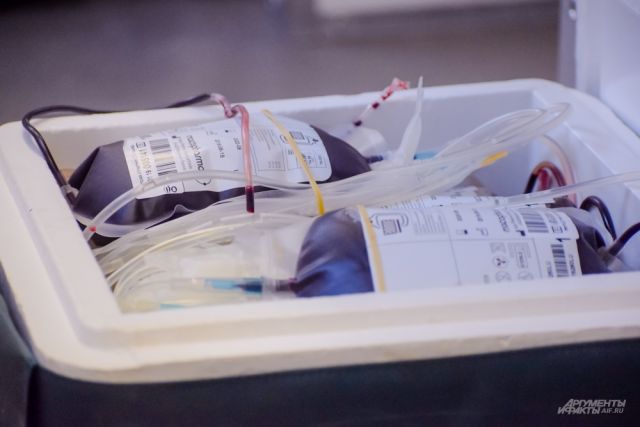 Петербуржцы сдали почти 100 литров крови нуждающимся