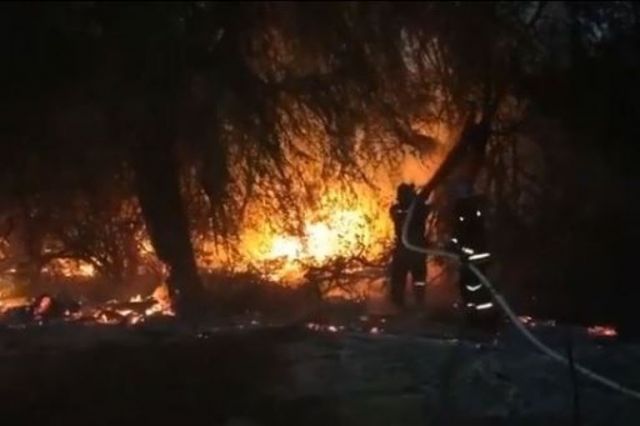 В Эльтавском лесу Махачкалы произошел пожар