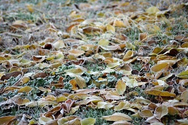 Москвичей предупредили о первых серьезных похолоданиях в октябре