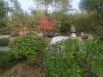 Осень в Японском саду и Выставочных садах AstraGarden