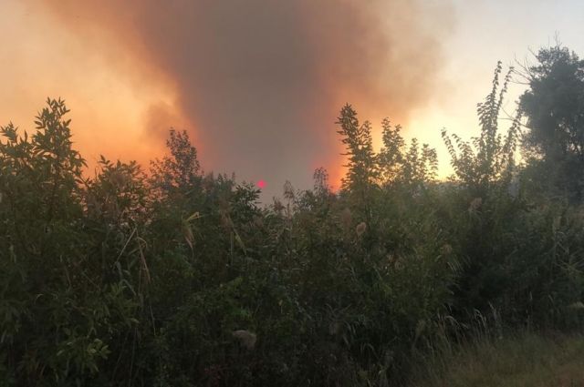 Ландшафтный пожар тушат в Ростове-на-Дону