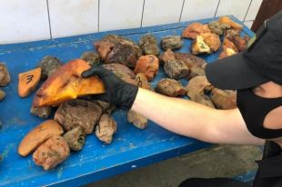 В Черновицкой области в микроавтобусе обнаружили янтаря на 538 тысяч гривен