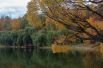Покровское-Стрешнево. Беговые дорожки в парке «Покровское-Стрешнево» проходят вдоль каскада прудов на реке Чернушке, среди вековых сосен.
