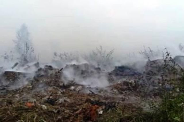 Росприродназор занялся расследованием возгорания свалки в Богородске