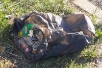 Тюменцы собрали около двух тонн мусора на берегу озера Круглое