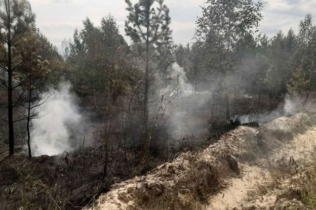 В Хабаровском крае горит тайга, но тушить её не собираются