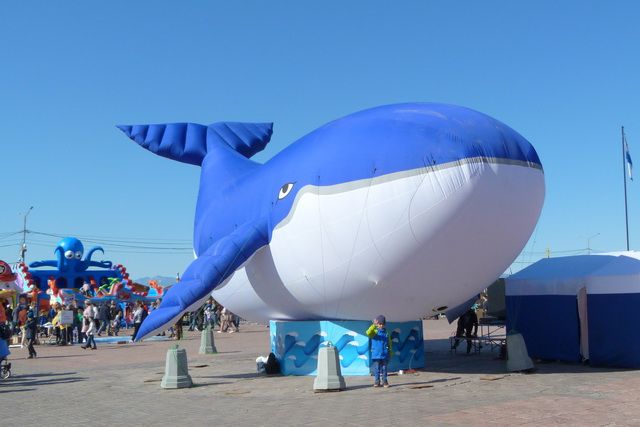 Экологический фестиваль «Море жизни» прошёл в Петропавловке. Фоторепортаж