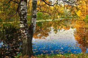 Прогноз погоды на 28 сентября: будет прохладно и дождливо.