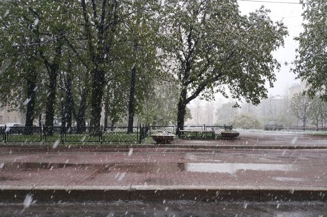 Снег в Новосибирской области может выпасть уже в сентябре