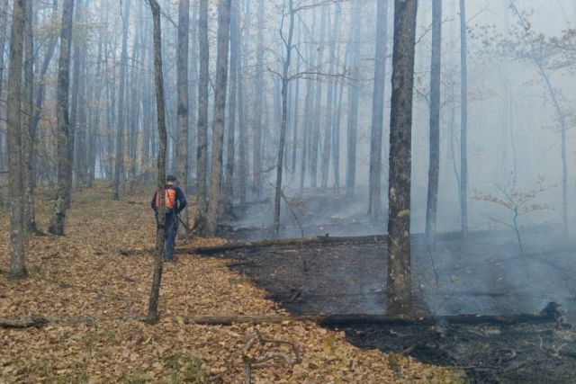 В Новороссийске произошел пожар на горе Колдун