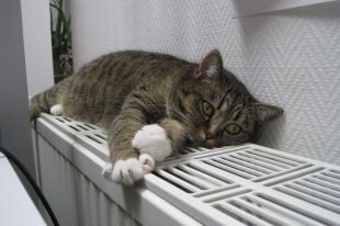 В Тюмени отопление включили в 60% домов