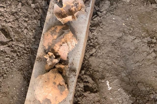 Жители Абакана нашли на своих дачных участках скелетированные останки людей
