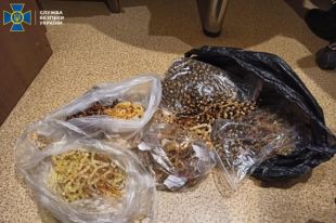 Правоохранители заблокировали контрабанду янтаря в одну из азиатских стран