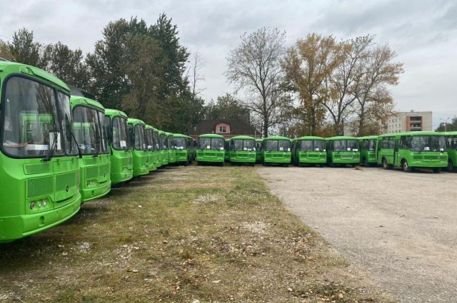 Ещё 44 новых автобуса получила Псковская область