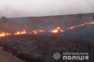 Под Полтавой загорелось поле: более 50 гектаров сожжены