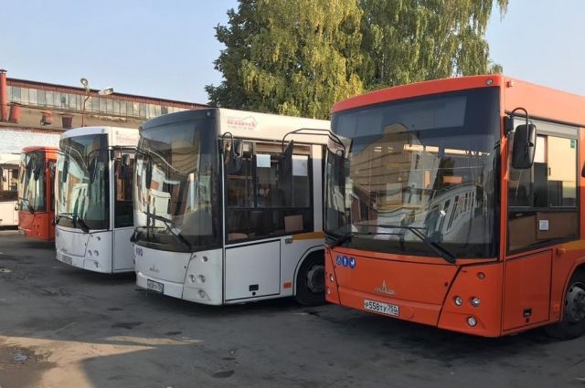 В Рязань привезли 20 автобусов из Москвы