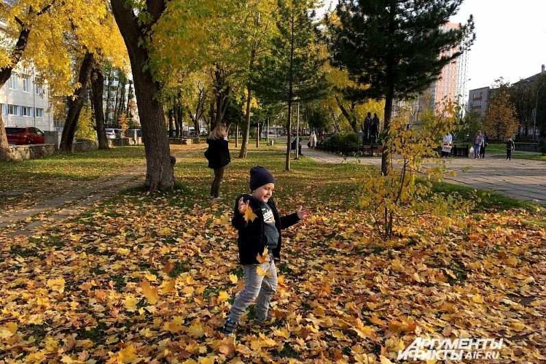 Золотая осень в Перми.