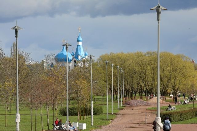 На Аллее почетных граждан Петербурга высадили новые деревья
