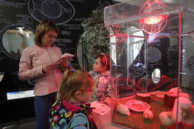 Во время осенних каникул в Калининграде пройдет детский музейный фестиваль
