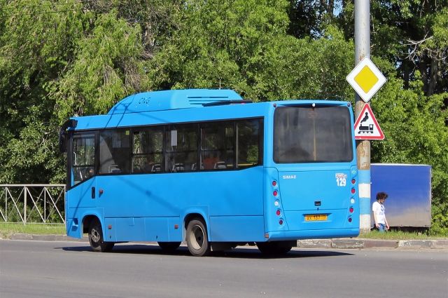 На ульяновские маршруты выйдут 70 новых автобусов «СИМАЗ»