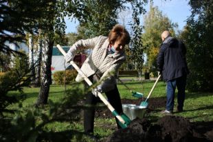 Тюменские общественники высадили яблони на площади Борцов Революции