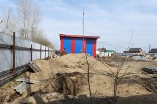 На участке наблюдались остатки крупного рогатого скота