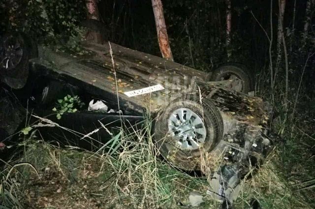 Автомобиль врезался в лебедя в Невельском районе, водитель погиб