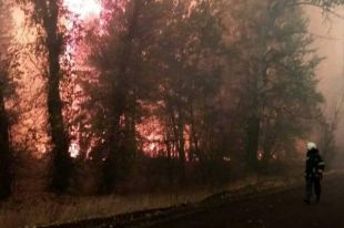 От пожаров в Луганской области погибли уже 11 человек