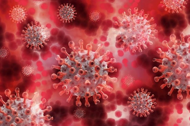 В Псковской области коронавирусом заболели 48 человек за сутки