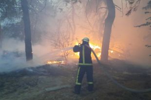 Пожары в Луганской области расширились до 13 тысяч гектаров