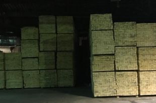 В Житомирской области СБУ разоблачила незаконный экспорт древесины
