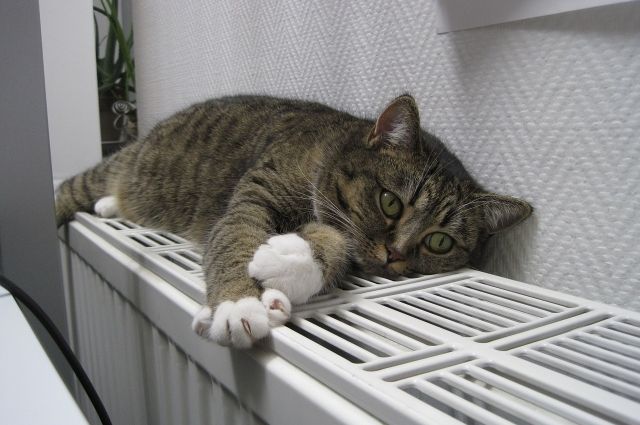 Глава Ульяновска попросил активизировать процесс подключения домов к теплу