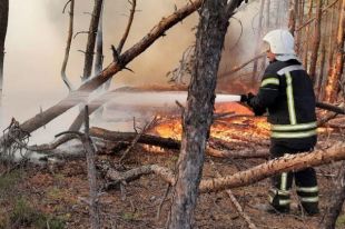 В Луганской области локализовали большую часть очагов возгорания.